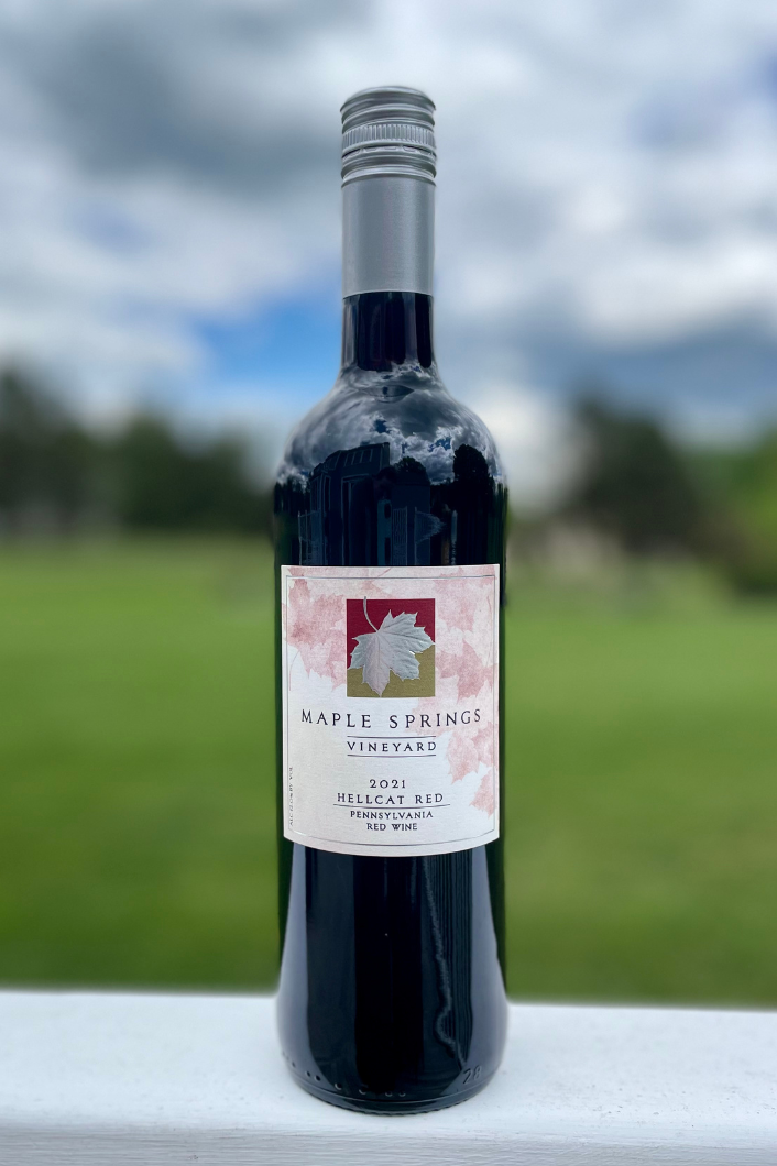 Product Image for 2021 Hellcat Red